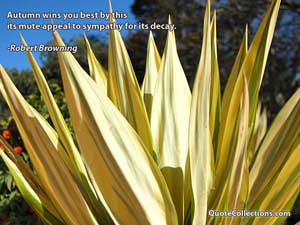robert_browning_quotes Quotes 4